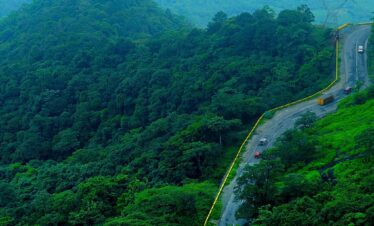 Wayanad Hills & Wilderness Escape