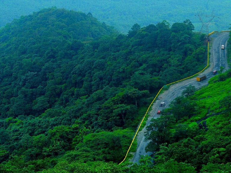 Wayanad Hills & Wilderness Escape