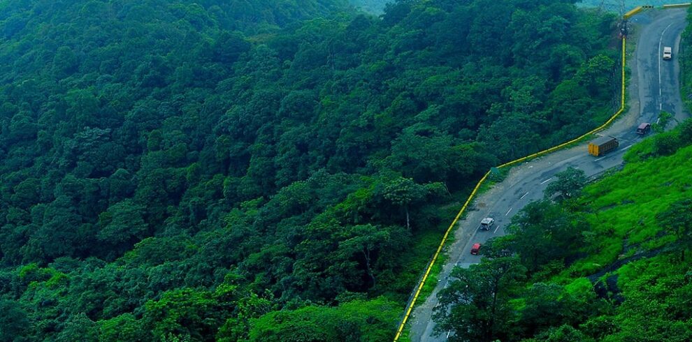 Wayanad Hills & Wilderness Escape