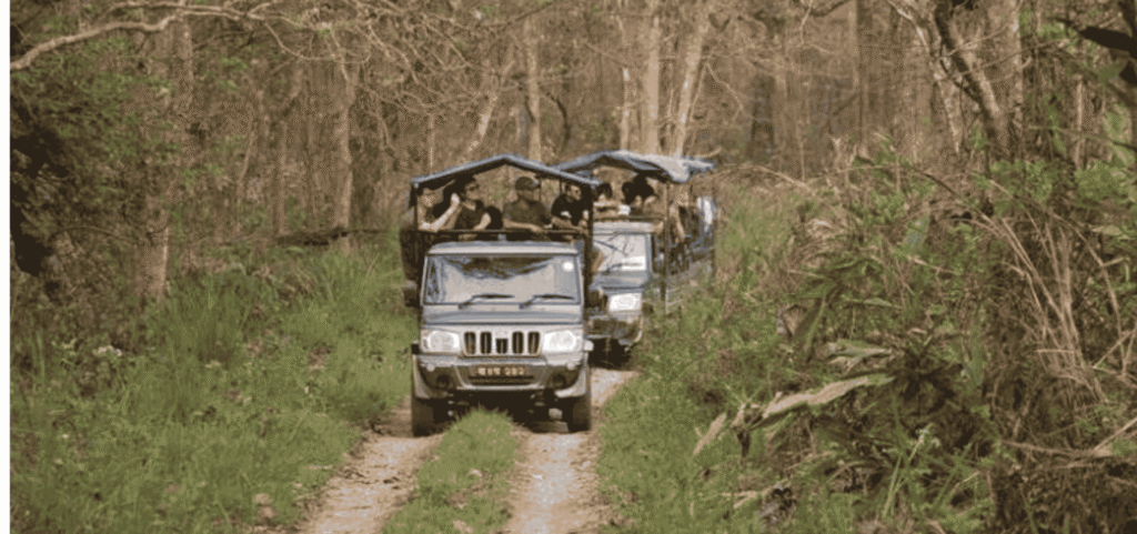 Wildlife safari in Chitwan as part of Nepal adventure tour packages