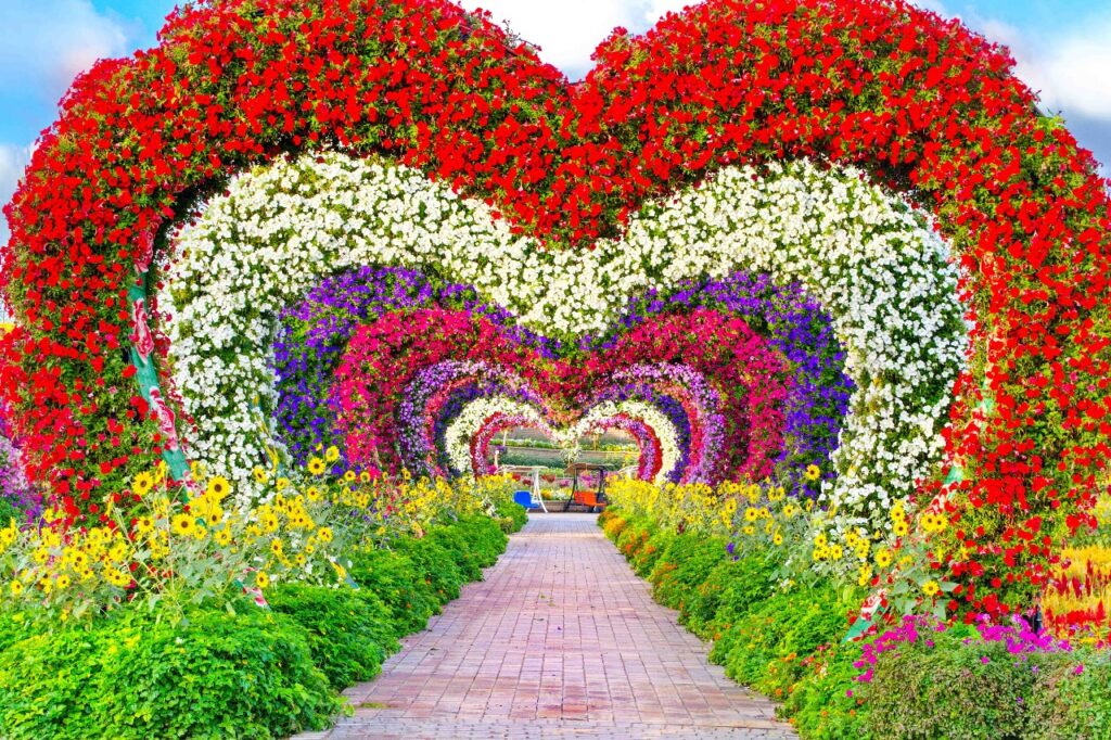 A heart-shaped flower sculpture in full bloom at Dubai Miracle Garden