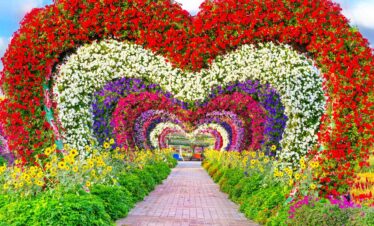 A heart-shaped flower sculpture in full bloom at Dubai Miracle Garden