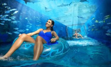 Aquatic adventures and attractions at Atlantis Aquaventure Dubai