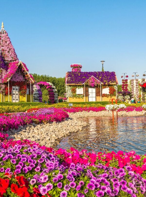 Panoramic view of Dubai Miracle Garden with walking pathways surrounded by flowers