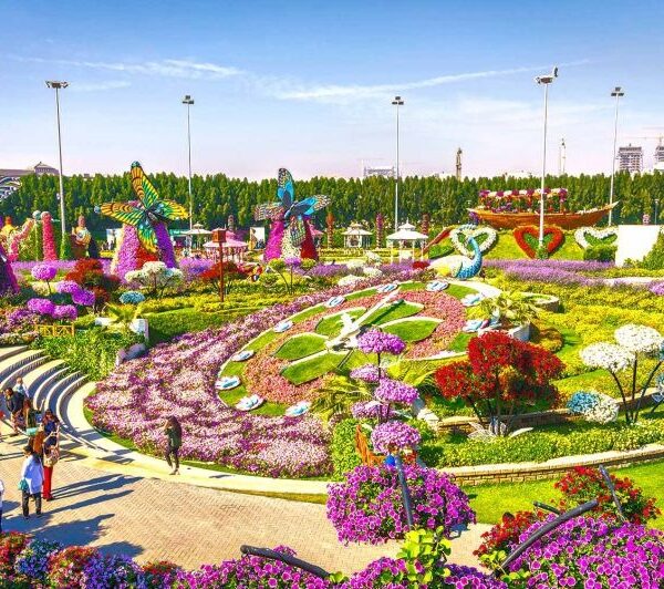 Visitors enjoying a sunny day among blooming flowers at Dubai Miracle Garden