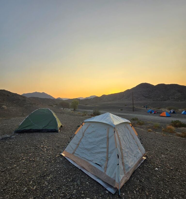 Why Camping in the UAE Is Growing Fast And How TAM Adventures Makes It Easy